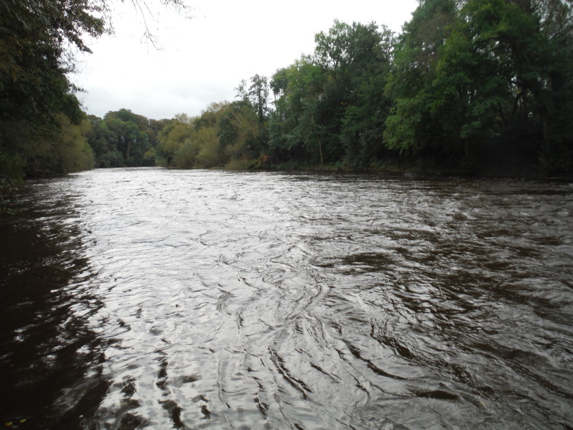 Salmon water on the middle Usk Salmon water on the middle Usk